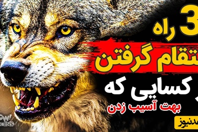 سه راه انتقام گرفتن از کسایی که بهت آسیب زدن / درس‌های پنهان ماکیاولی که هیچ‌کس بهت نمی‌گه