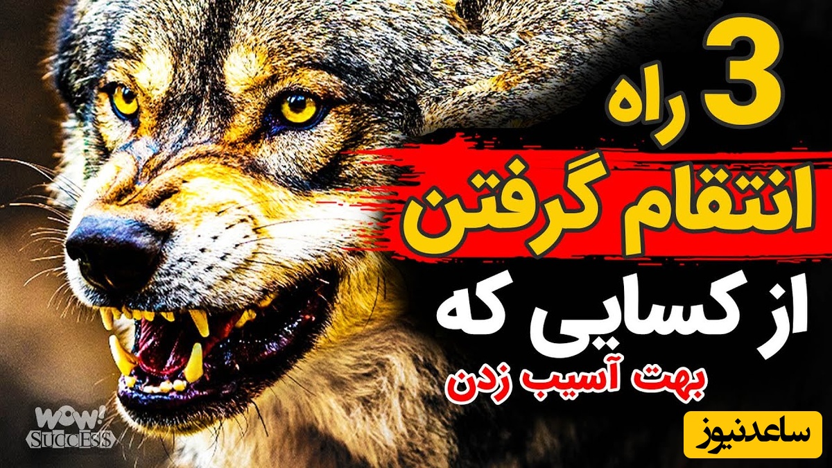 سه راه انتقام گرفتن از کسایی که بهت آسیب زدن / درس‌های پنهان ماکیاولی که هیچ‌کس بهت نمی‌گه