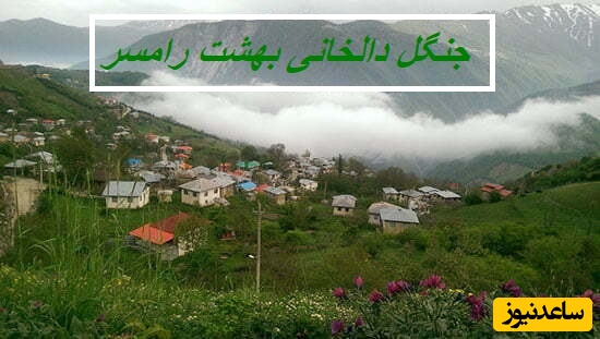 جنگل دالخانی رامسر؛ جاده‌ای رویایی وسط مه که مستقیم به بهشت می‌رسد (ویدئو)