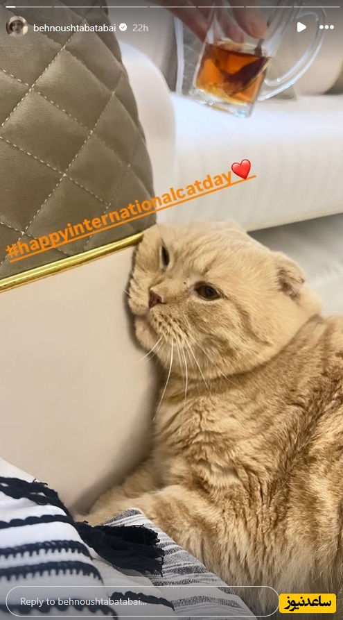 استوری بهنوش طباطبایی به مناسبت روز جهانی گربه