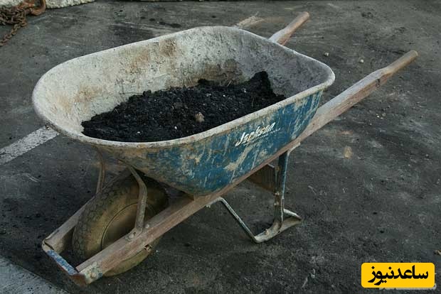 دیدن فرغون در خواب چه تعبیری دارد؟ / تعبیر خواب فرغان