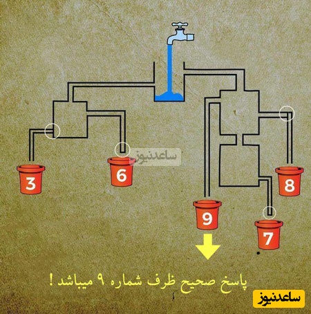 پاسخ تست هوش