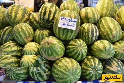 در آستانه شب یلدا نگاهی کنیم به فیلمی که همسر این خانم از وسواسش در خرید هندوانه شیرین و نتیجه‌ آن در فضای مجازی پخش کرد! +فیلم/ من بازم سکوت رو ترجیح میدم😂