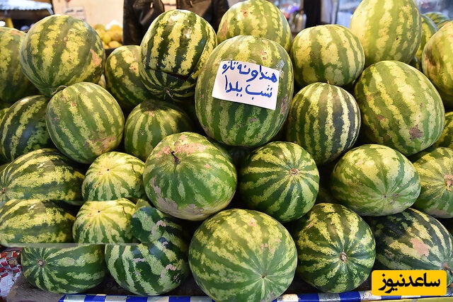 در آستانه شب یلدا نگاهی کنیم به فیلمی که همسر این خانم از وسواسش در خرید هندوانه شیرین و نتیجه‌ آن در فضای مجازی پخش کرد! +فیلم/ من بازم سکوت رو ترجیح میدم😂