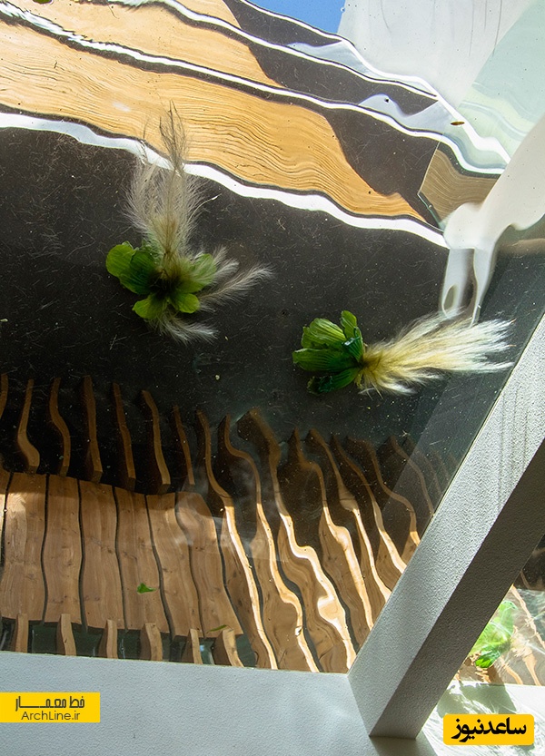 معماری خانه شریفی ها