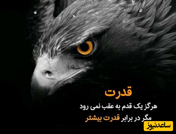 کائنات پیام ویژه‌ای برات داره؛ مرهمی برای قلب‌های خسته‌ای که عزیز از دست داده‌اند یا با دردِ تنهایی زندگی می‌کنند….../ پیام انگیزشی امروز 23 اردیبهشت 1405+ ویدئو