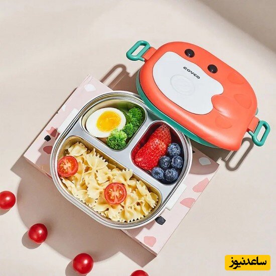 خلاقیت منحصر به فرد یک مادر ایرانی برای آماده کردن ظرف غذای مدرسه دخترش/ مامان نگو جواهر بگو+ویدیو