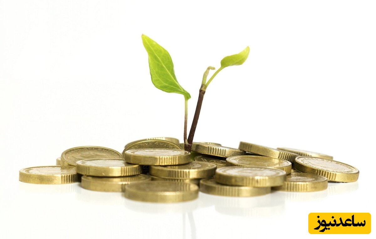 معرفی کامل صندوق‌های سرمایه گذاری و مزایای آن + فیلم آموزشی