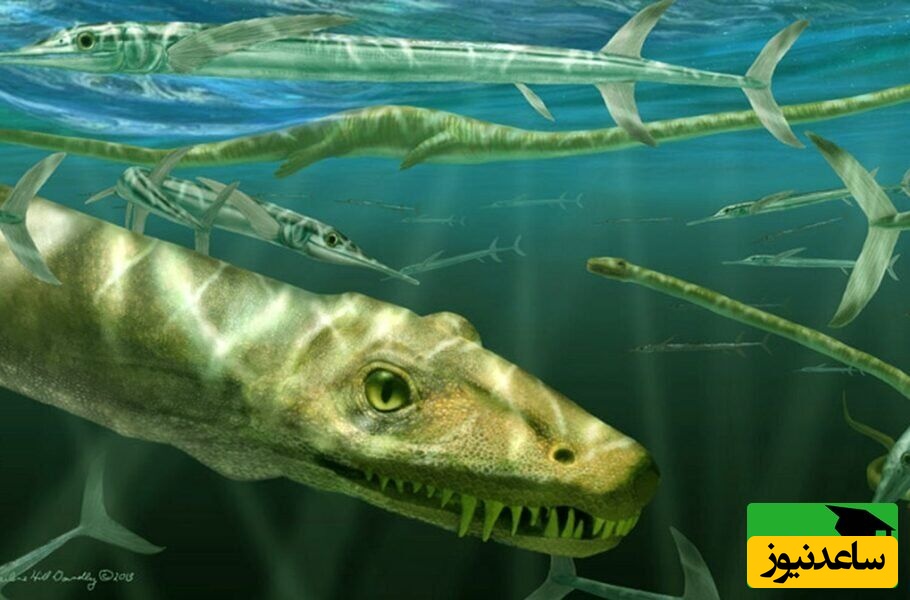 دانشمندان در چین به فسیل خزنده‌ای 240 میلیون ساله دست یافتند + عکس