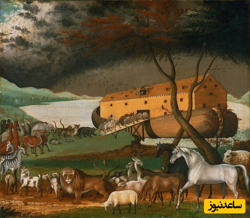 حیوانات عجیبی که در کشتی حضرت نوح اجازه ورود نداشتند + فیلم