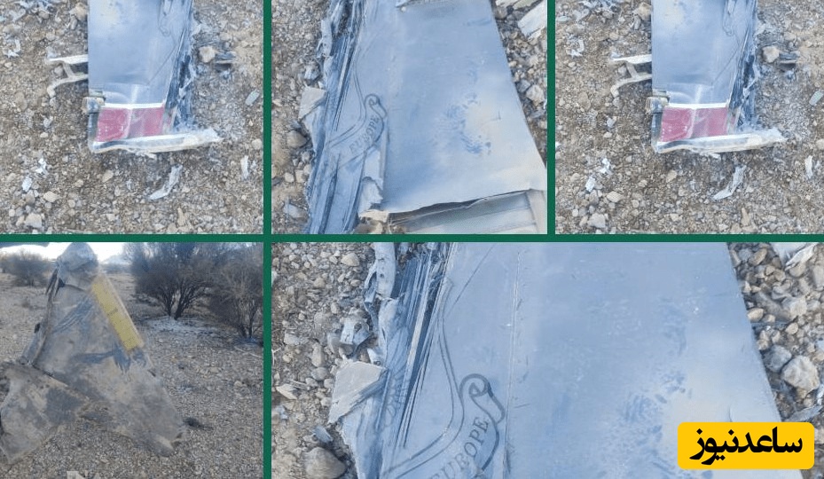 کارنامه بیست پدافند هوایی؛ کدام پرنده‌های آمریکایی در 24 ساعت اخیر ساقط شدند؟