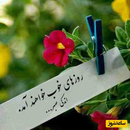 کائنات پیام ویژه‌ای برات داره؛ اگه حس می‌کنی جا موندی… بدون خیلی‌ها توی همین نقطه کنارتن پس آروم باش و امیدوار/ پیام انگیزشی امروز