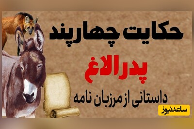 حکایت های خواندنی/ 4 وصیت آموزنده پدر الاغ که جانش را نجات داد/ آخه الاغ اینقدر باهوش!😄