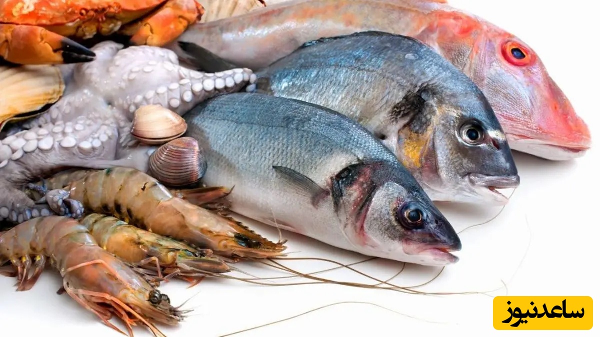 دانلود رایگان دفترچه سوالات و پاسخنامه آزمون دکتری بهداشت و بیماری‌های آبزیان (93 تا 96)