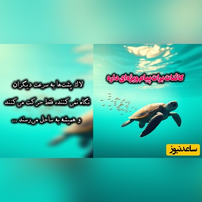 کائنات پیام ویژه‌ای برات داره / پیام انگیزشی امروز جمعه، 30 مرداد 1405: لازم نیست همیشه بدوی، ولی بدان همیشه باید در حال حرکت باشی