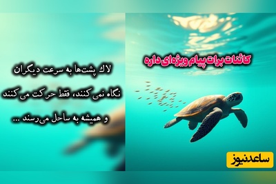 کائنات پیام ویژه‌ای برات داره / پیام انگیزشی امروز جمعه، 30 مرداد 1405: لازم نیست همیشه بدوی، ولی بدان همیشه باید در حال حرکت باشی