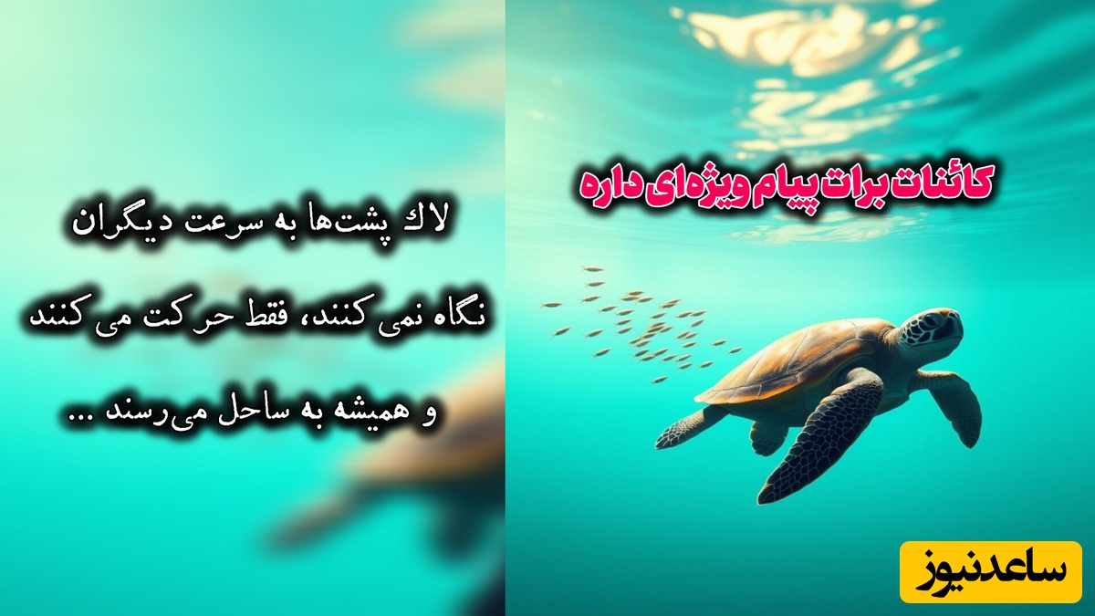 کائنات پیام ویژه‌ای برات داره / پیام انگیزشی امروز جمعه، 30 مرداد 1405: لازم نیست همیشه بدوی، ولی بدان همیشه باید در حال حرکت باشی