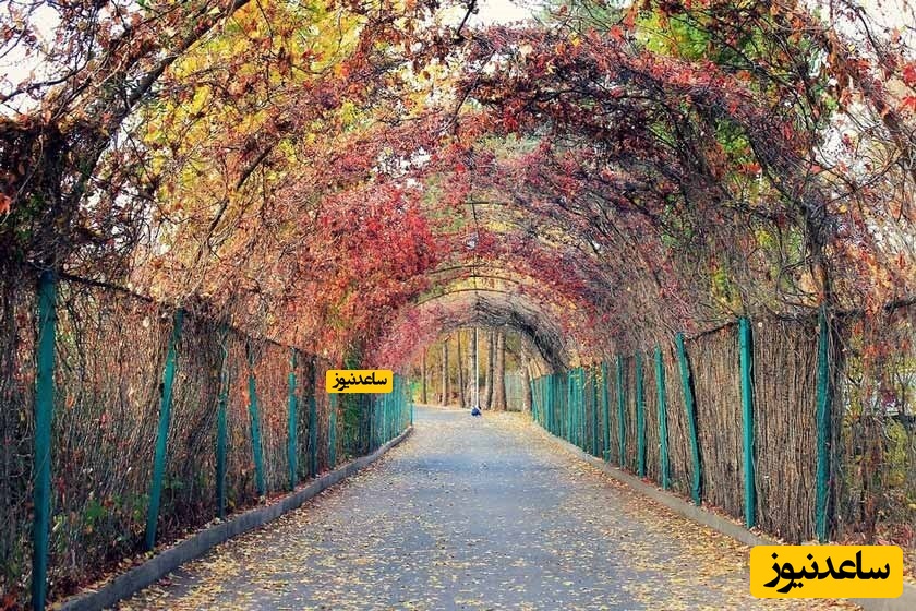 باغ گیاه شناسی ایروان