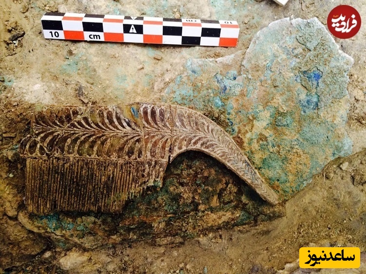 در کمال تعجب، در مقبرۀ این مرد جنگجو وسایلی مثل شانه و آینه هم وجود داشت که معمولا در گور زنان قرار داده میشدند