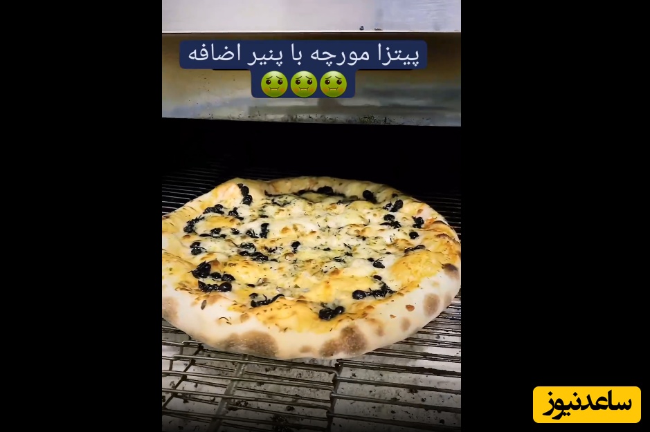 ویدیو/ چندش آورترین پیتزای جهان با گوشت تفت داده شده مورچه