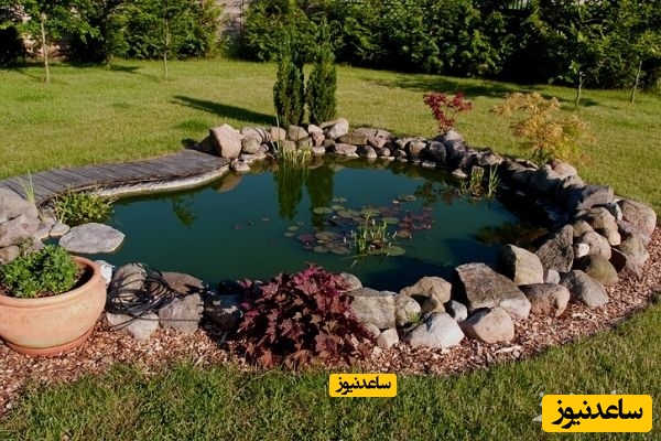 برکه‌ی کوچک