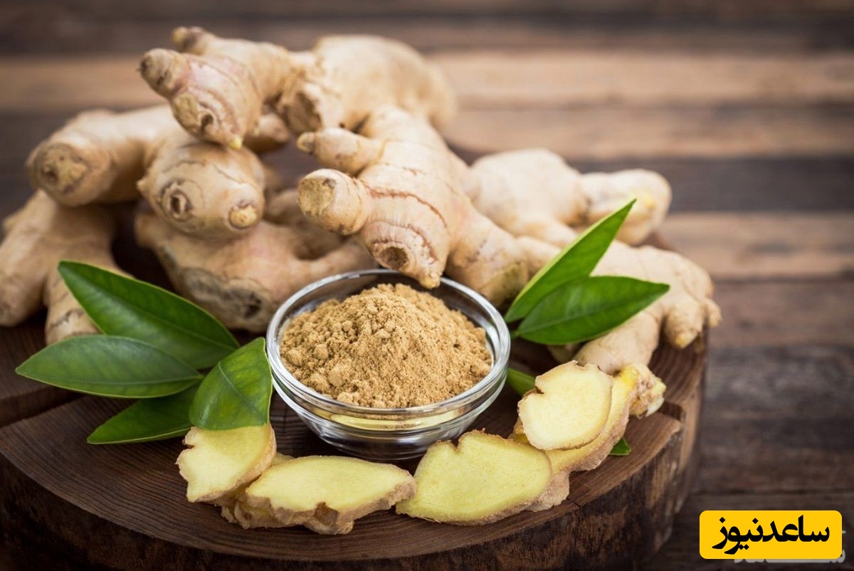 فواید و عوارض مصرف زنجبیل در بارداری