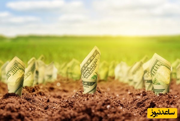 رشته اقتصاد کشاورزی و بازار کار آن