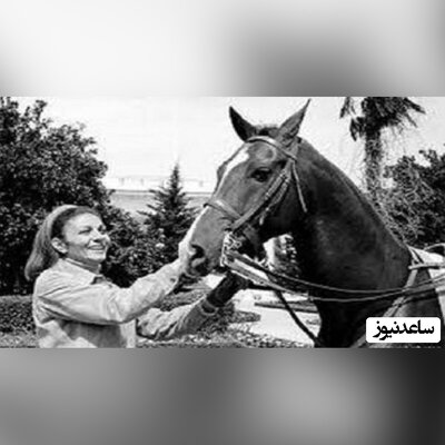 قصه دردناک یک اسب اصیل ایرانی که توسط فرح پهلوی مقطوع‌النسل و منقرض شد!