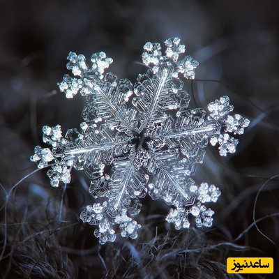 (ویدیو) تصاویر بینظیر و شگفت‌انگیز از دانه‌های زیبای برف در زیر میکروسکوپ