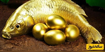 تست هوش فکری/ فقط افرادی با هوش و استدلال منطقی بالا، می‌توانند در 4 ثانیه حدس بزنند که "ماهی طلایی" در "قلاب ماهیگیری" چه کسی می‌افتد؟