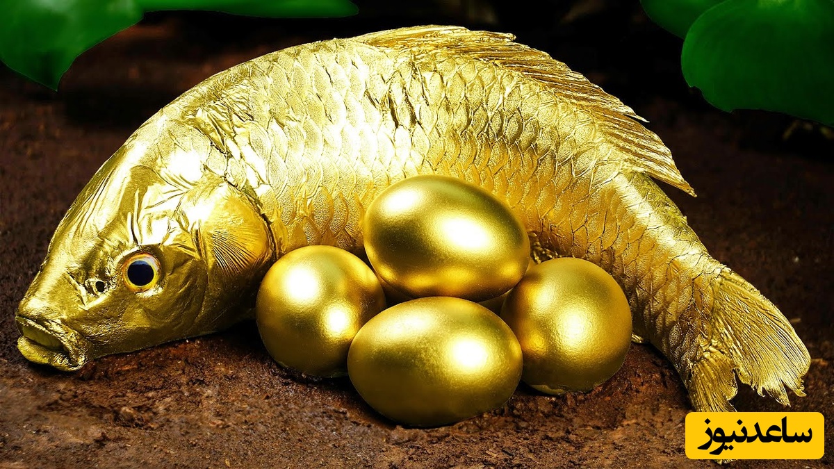 تست هوش فکری/ فقط افرادی با هوش و استدلال منطقی بالا، می‌توانند در 4 ثانیه حدس بزنند که "ماهی طلایی" در "قلاب ماهیگیری" چه کسی می‌افتد؟