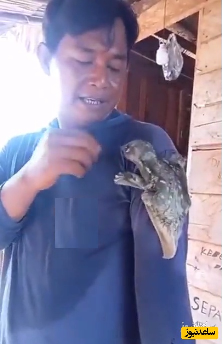 کشف موجودی عجیب و خارق العاده در اندونزی + فیلم