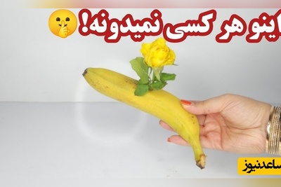 روش های جذاب برای تازه و سالم نگه داشتن انواع میوه برای مدت طولانی/ از موز و گوجه تا خیار و ...+ ویدیو