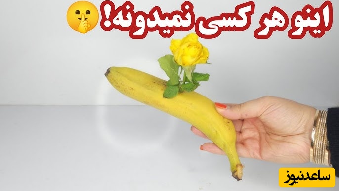 روش های جذاب برای تازه و سالم نگه داشتن انواع میوه برای مدت طولانی/ از موز و گوجه تا خیار و ...+ ویدیو