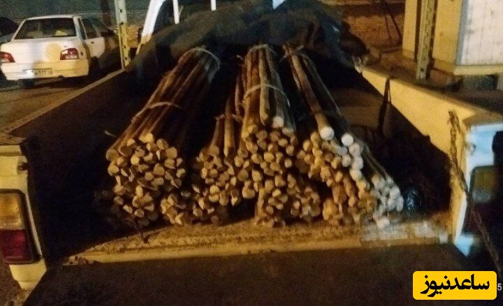 کشف و ضبط اشجار قطع شده جنگلی در شهرستان ورزقان