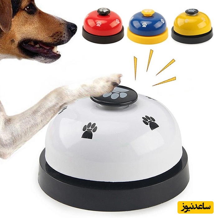 راهکار جذاب برای تربیت حیوان خانگی سگ با زنگوله برای درخواست غذا+ ویدئو