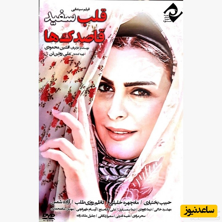 معرفی قلب سفید قاصدک ها