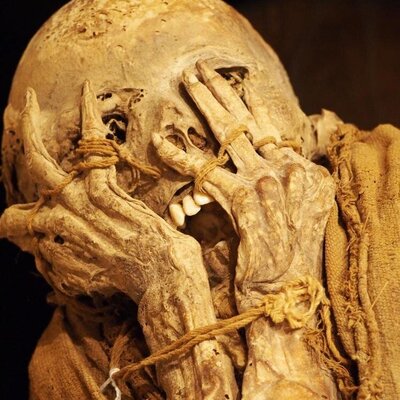 تجاوز جنسی یک آمریکایی به مومیایی 2500 ساله! +عکس