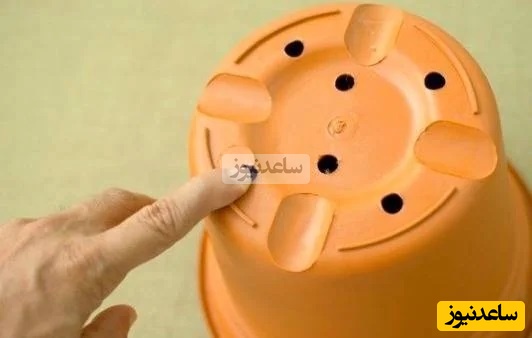 پرورش گل و گیاه