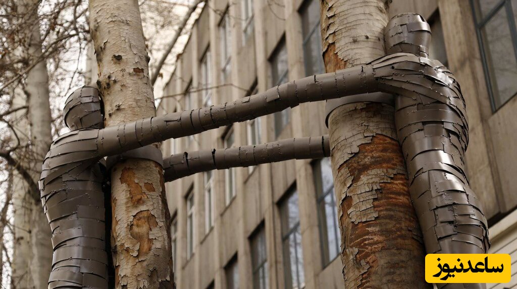 خلاقیت شهرداری در تبدیل درختان خشکیده به اثر هنری با نصب لوازم جالب و چشم نواز+عکس/ از جاسازی تکه های فرش تا خانه های کوچک پرندگان