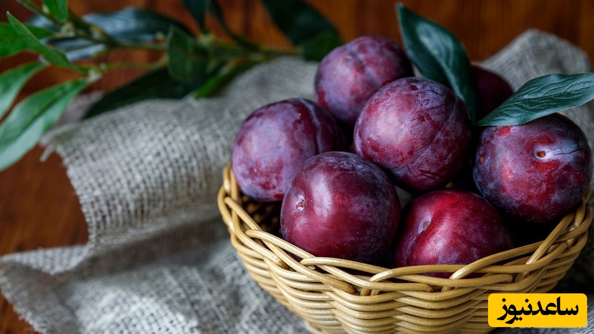 دیدن خوردن آلو ترش در خواب چه تعبیری دارد؟ /  تعبیر خواب آلو