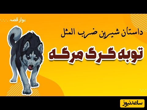 داستان ضرب المثل توبه گرگ مرگه / حکایت آموزنده هوش عجیب اسب که توانست از دام گرگ فرار کند + ویدئو