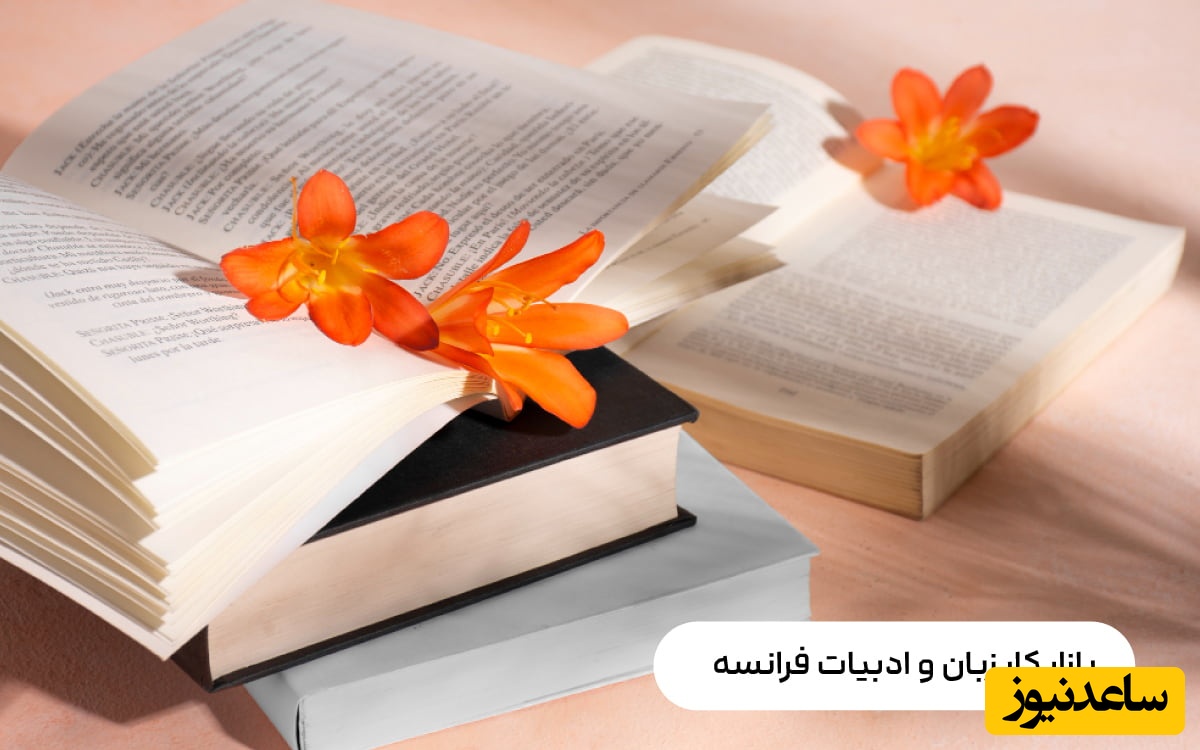 بازار کار زبان و ادبیات فرانسه