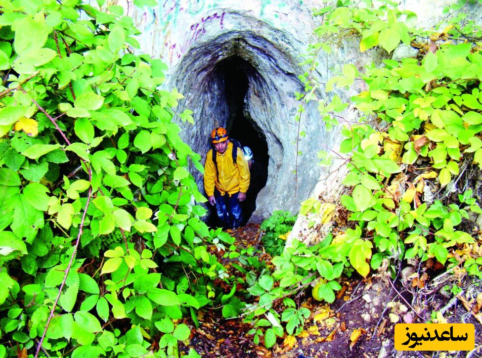 غار سید رشید