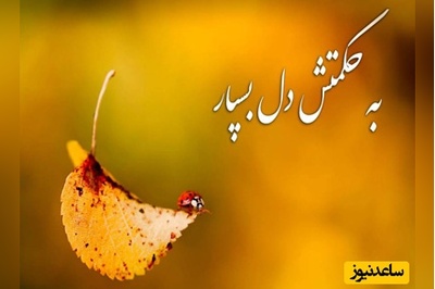 جملات شکرگزاری صبحگاهی مثبت کوتاه و بهترین متن های تشکر روزانه از خداوند/ خدایا شکرت برای خاکی که گذشته را به یاد دارد و آینده را در خود حمل می‌کند. + ویدئو