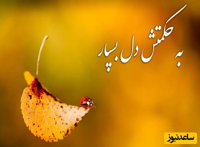 جملات شکرگزاری صبحگاهی مثبت کوتاه و بهترین متن های تشکر روزانه از خداوند/ خدایا شکرت برای خاکی که گذشته را به یاد دارد و آینده را در خود حمل می‌کند. + ویدئو