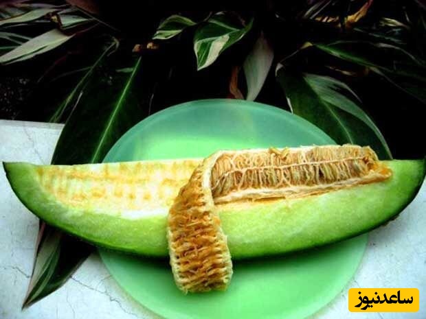 برشی از خربزه