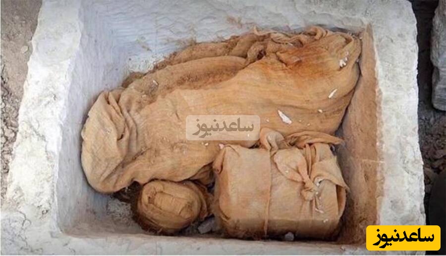 درون صندوق سنگی اشیاء قربانی از جمله یک غاز مومیایی‌شده و تخم آن نیز پیدا شدند 