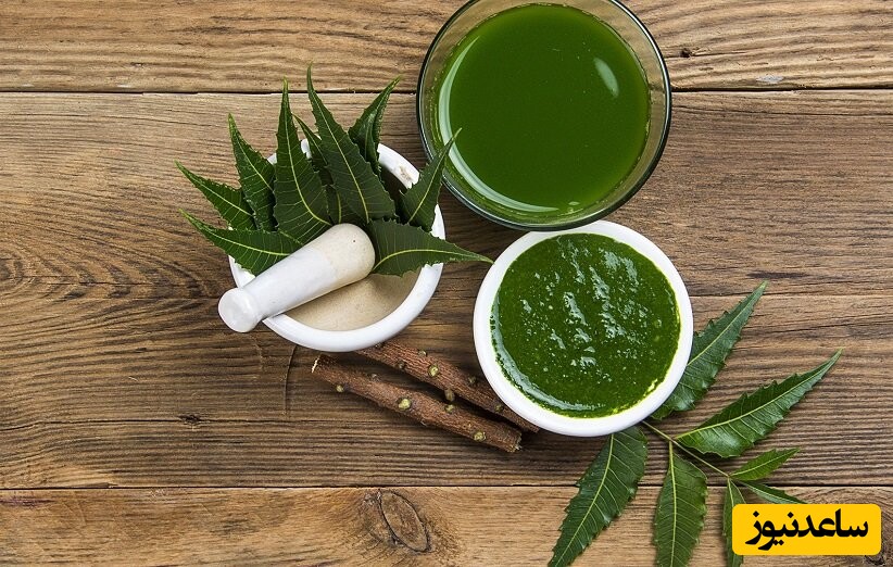 برگ چریش
