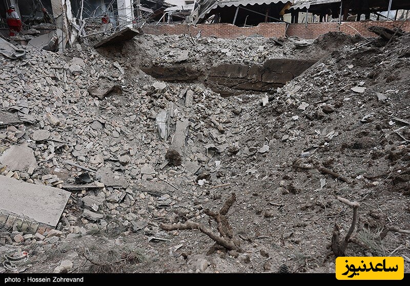 شجره طیبه میناب